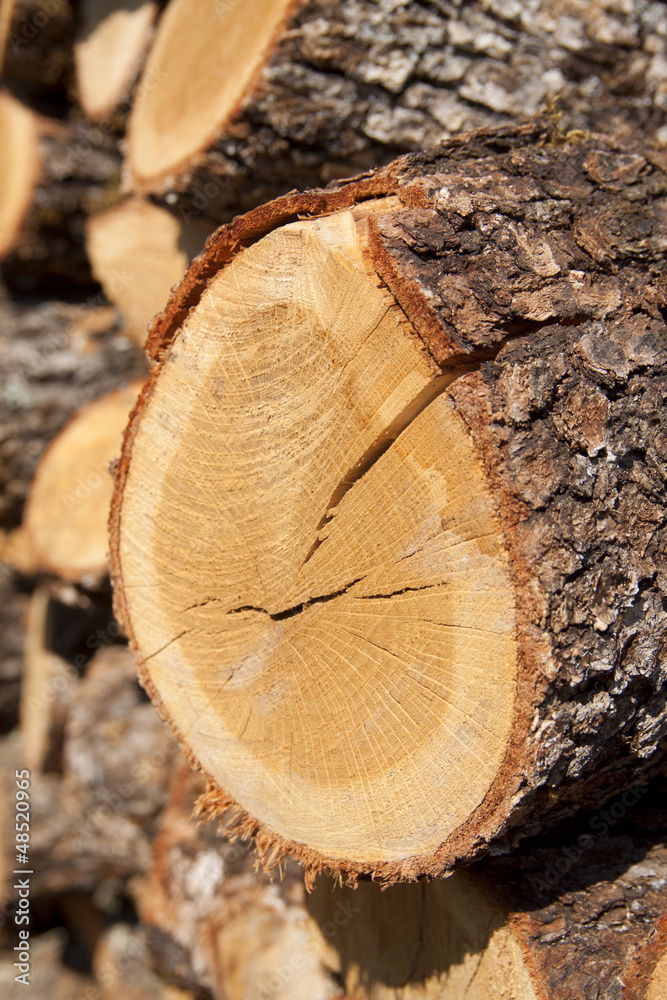 Firewood Firewood