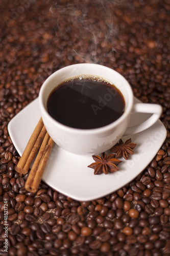 Coffee cup with cinnamon and anise spices