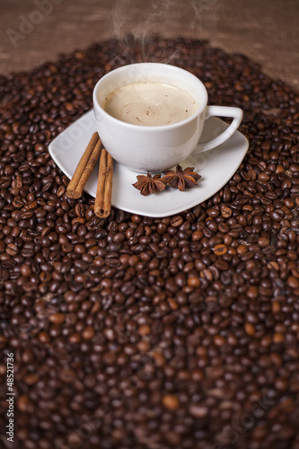 Coffee cup with cinnamon and anise