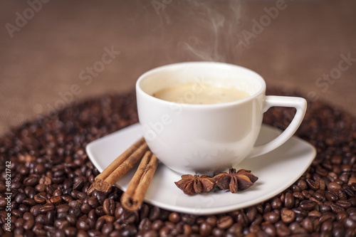 Cup of latte or cappuccino with cinnamon and anise