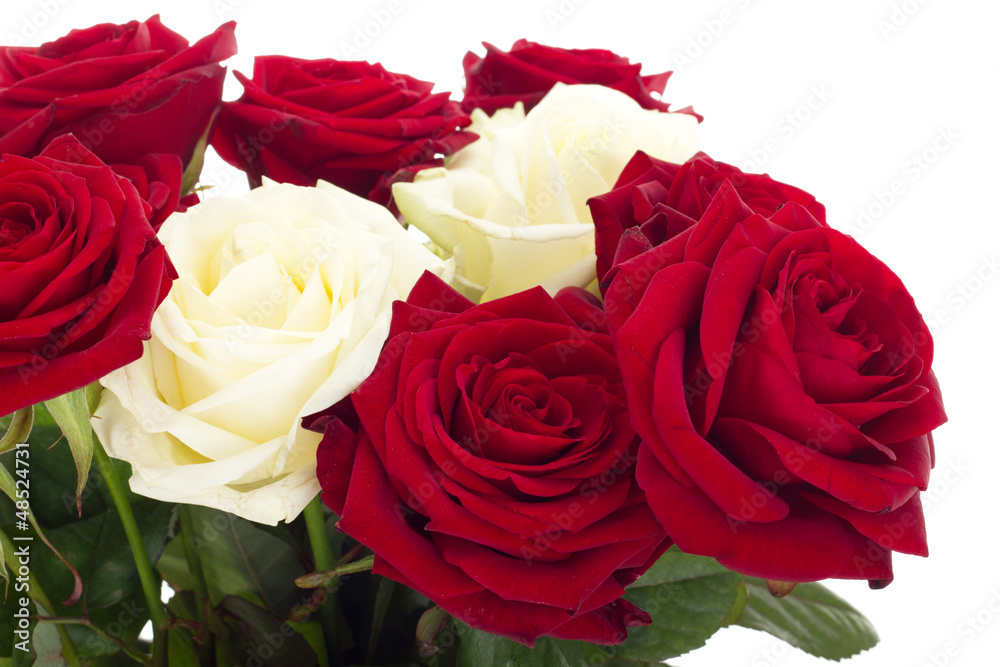 Fototapeta premium Beautiful roses