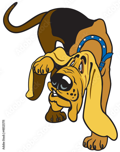 cartoon bloodhound photo
