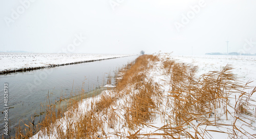 Canal through the countryside in winter