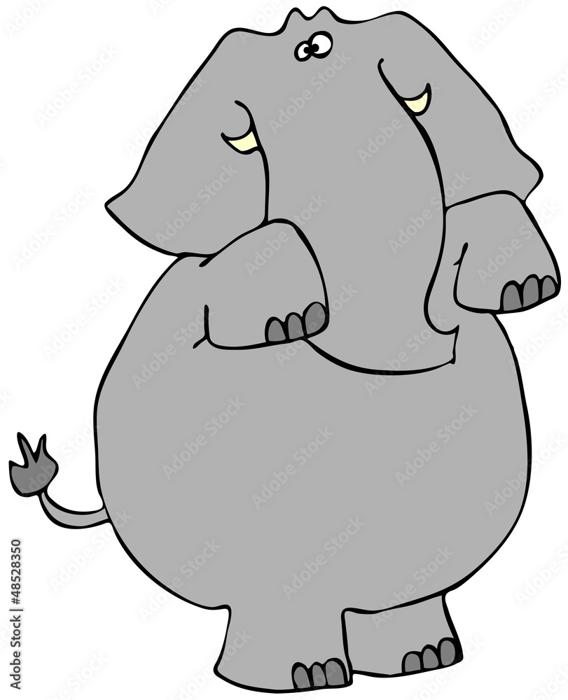 Begging elephant Begging elephant