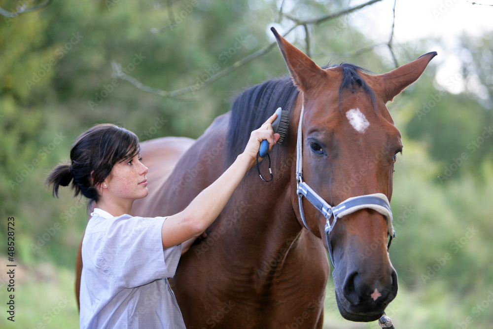 Obraz premium L-Cheval