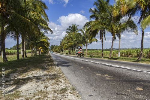 Palmenallee mit Landstraße auf Kuba