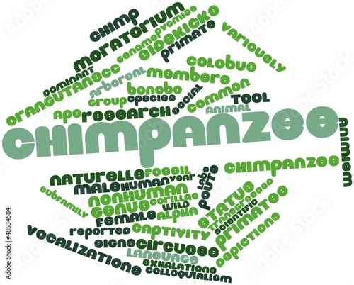 Word cloud for Chimpanzee photo