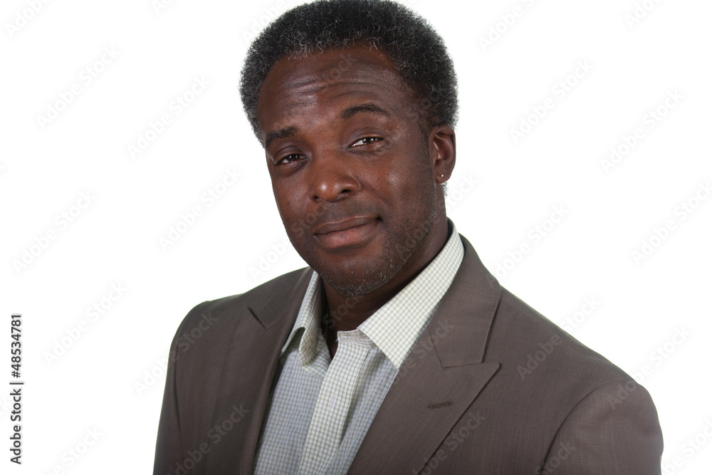 portrait of a business man portrait of a business man