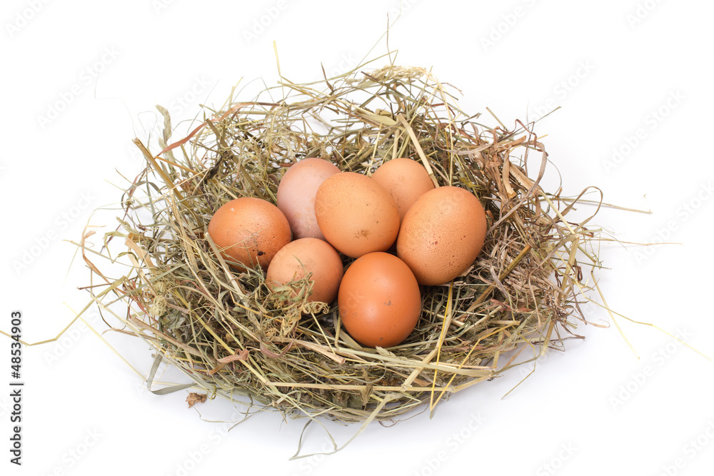 Brown eggs in a nest Brown eggs in a nest