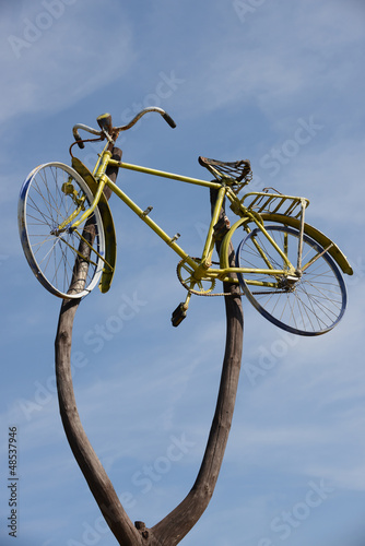 Bike up in a tree