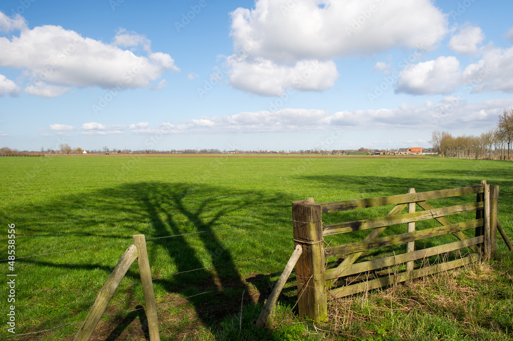 Dutch agriculture landscape