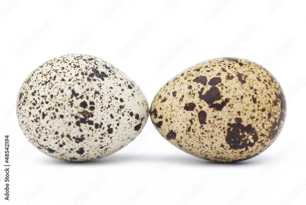 Two quail eggs on a white background Two quail eggs on a white background