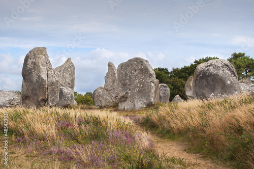 Carnac megalithic stones, Brittany, France © irantzuarb