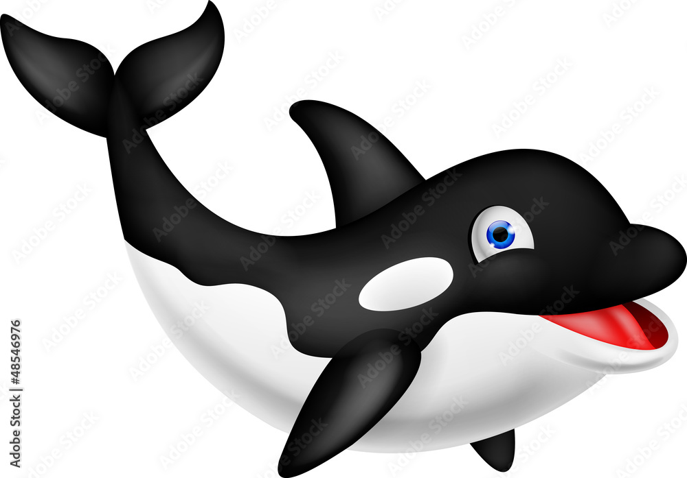 Fototapeta premium Orca cartoon