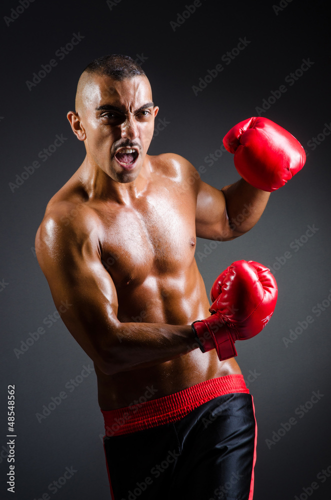 Muscular boxer in studio shooting Muscular boxer in studio shooting