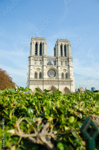 Notre Dame de Paris cathedral in summer day
