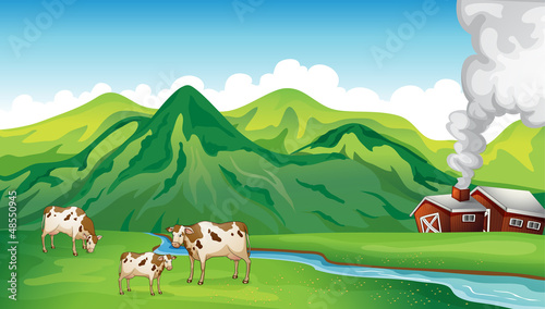 A farm house and cows