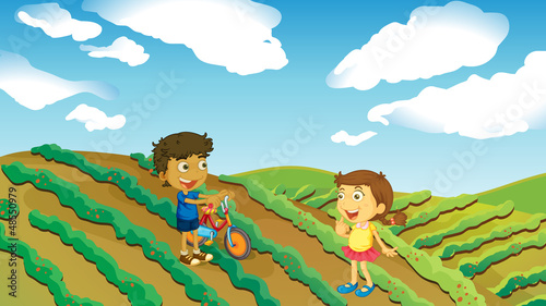 Children playing in the farm