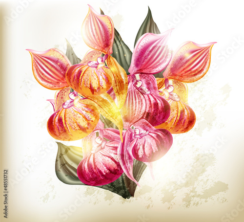 Realistic vector bouquet of orchids