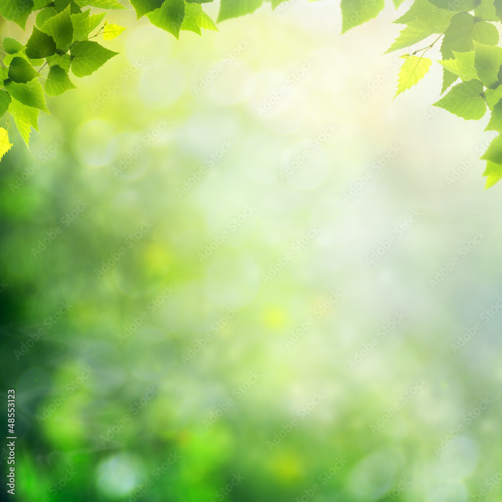 Misty morning in the forest, abstract natural backgrounds