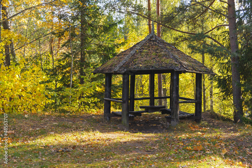 Camp area in forest