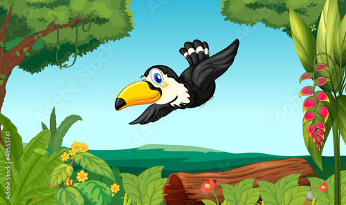 A bird in the forest
