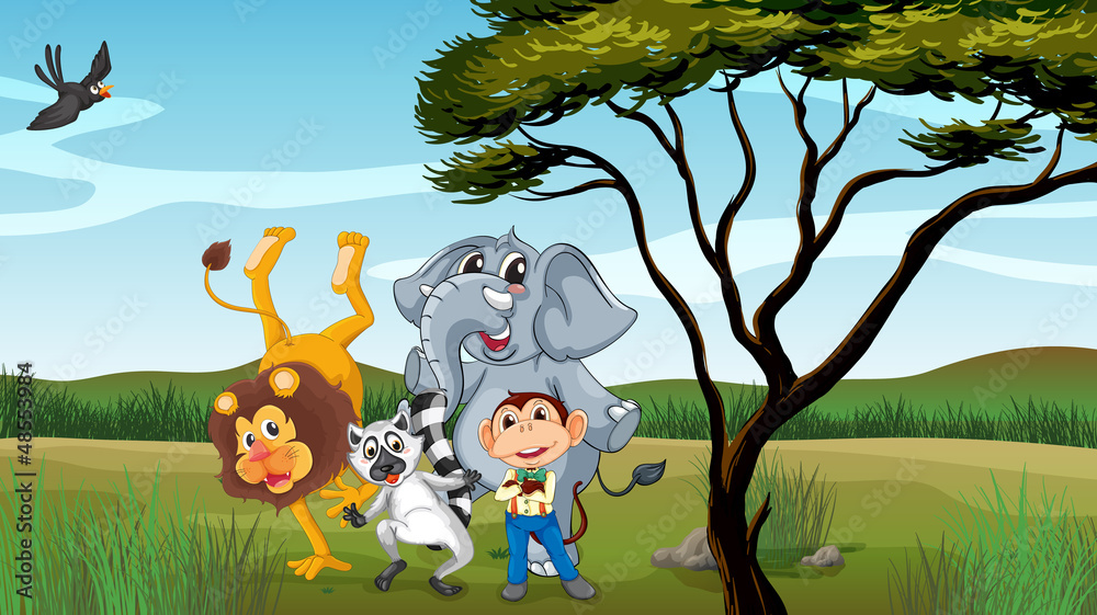 Obraz premium Grupa zwierząt