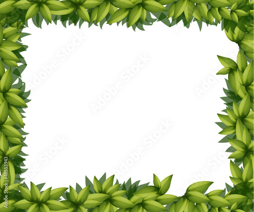 Border made of leaves