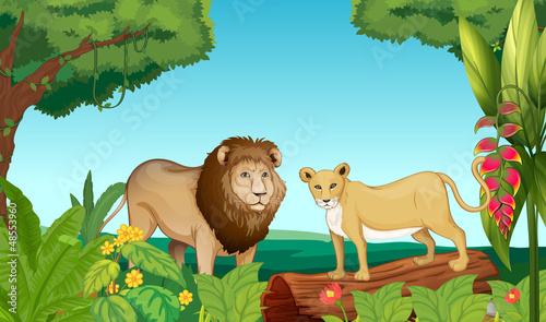 A tiger and a lion