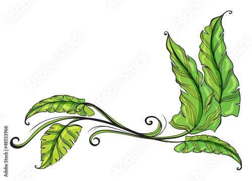 Green long leaves