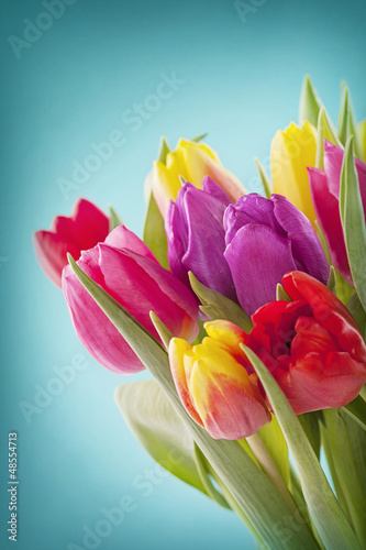 Fototapeta Naklejka Na Ścianę i Meble -  Tulip flowers