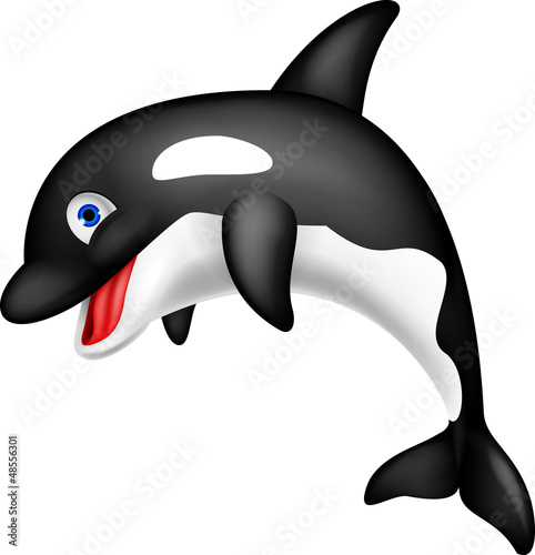 Orca cartoon