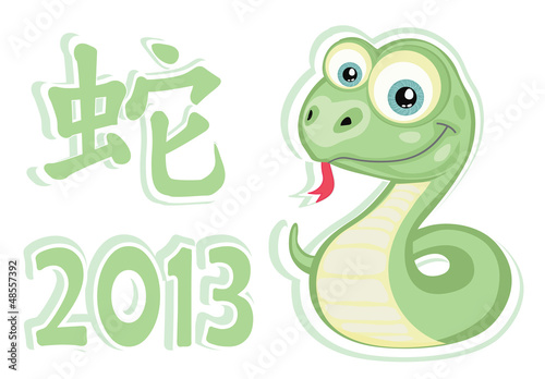 2013 Snake year design. Vector sticker