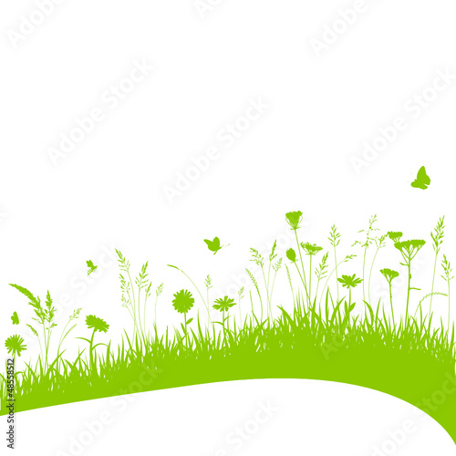 Vektor Blumenwiese Gras Grashalme Wiese Schwung