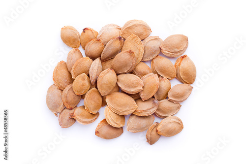 a heap of apricot pits with copy space - isolated