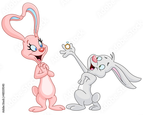 Bunnies marriage proposal
