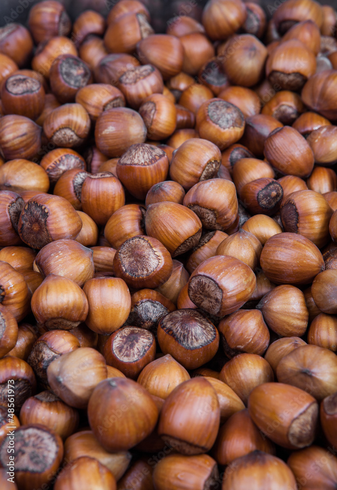 Hazelnut Hazelnut