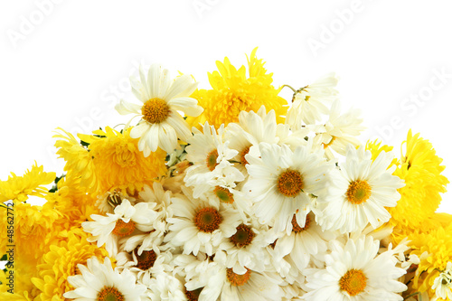bouquet of beautiful daisies flowers, isolated on white