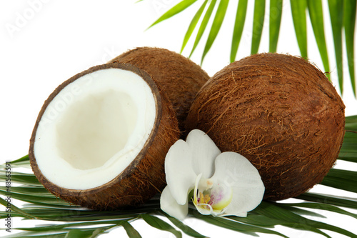 Coconuts with leaves and flower, isolated on white