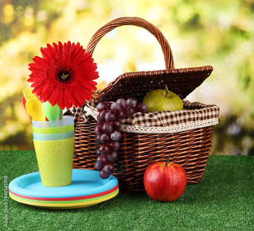 Picnic basket and tableware on grass on bright background