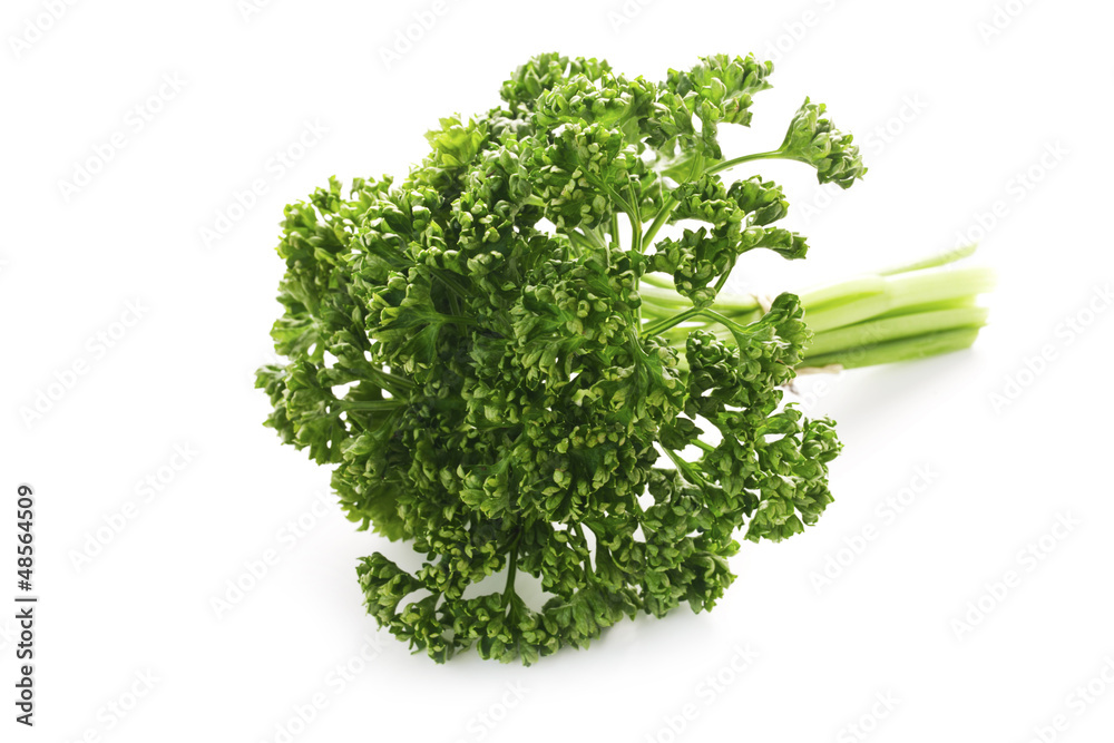 Herb Series - Parsley