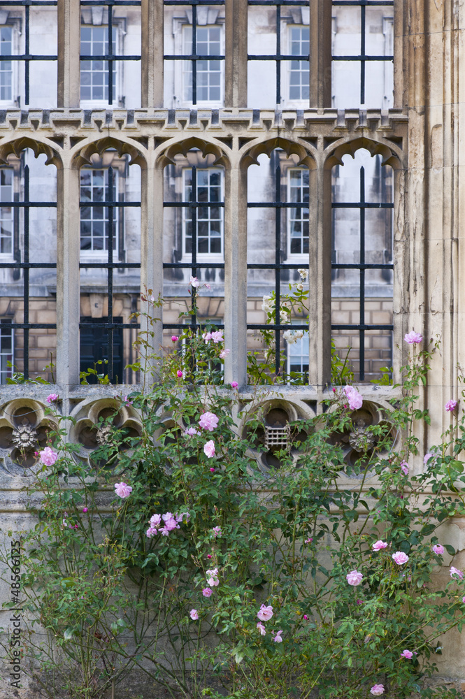 Detail of Stonework window, King's College, Cambridge