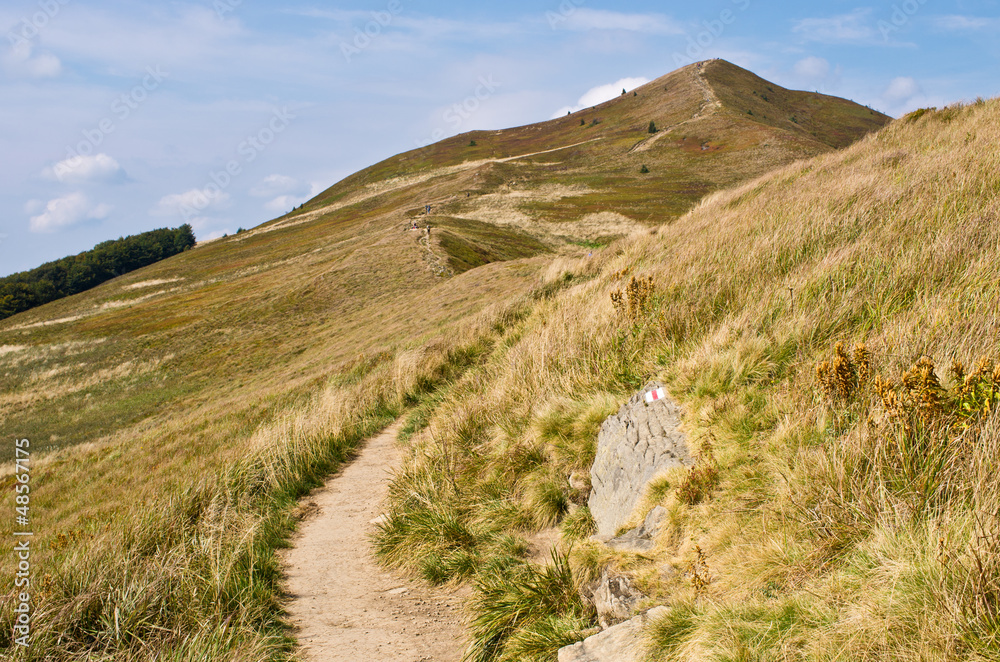 Carpathian mountains Carpathian mountains