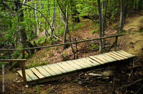 Wooden footbridge