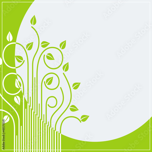 spring branches card