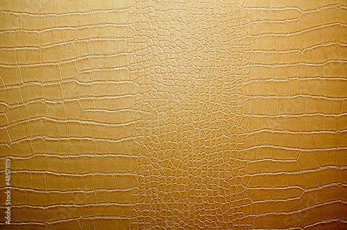Snake skin, reptile