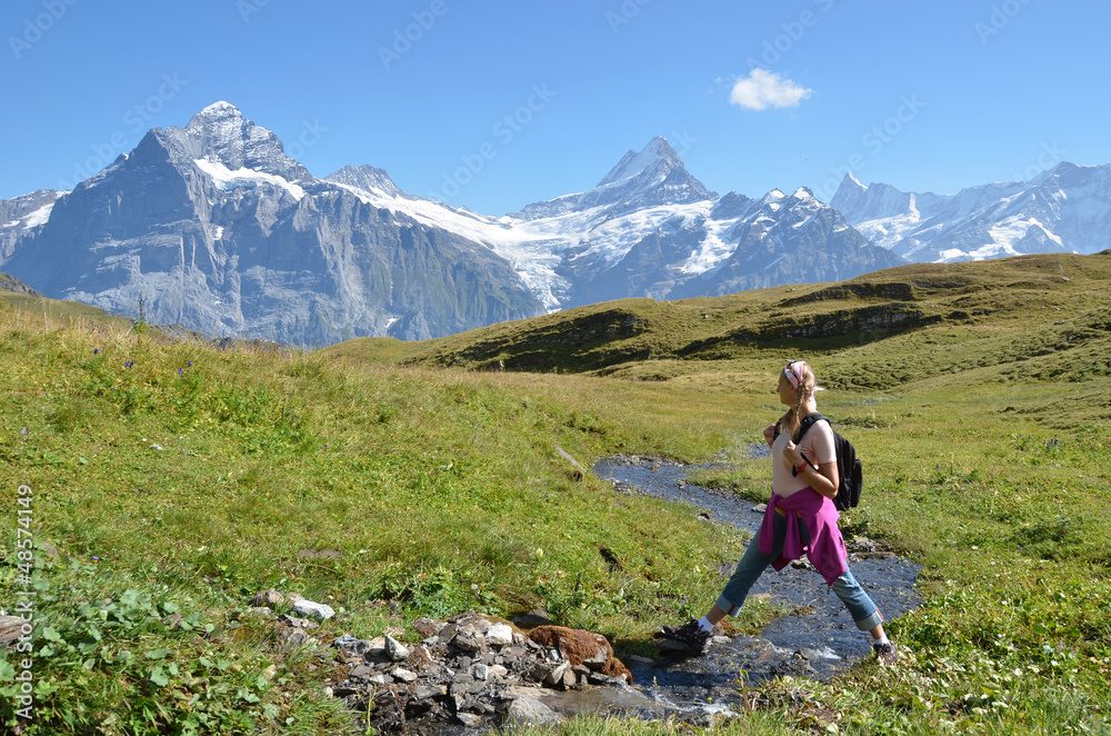 Trekking in the Swiss Alps