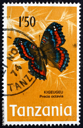 Postage stamp Tanzania 1973 Gaudy Commodore, Butterfly