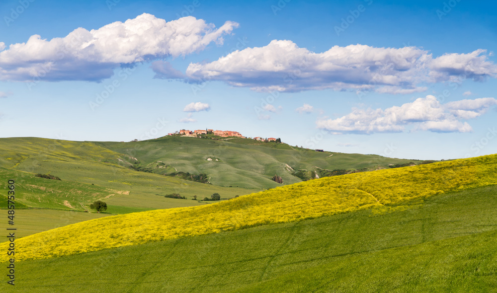 Tuscany landscape between Siena and Asciano, Crete Senesi, Italy