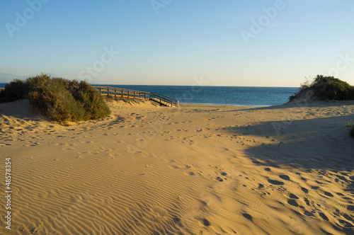 Costal dunes